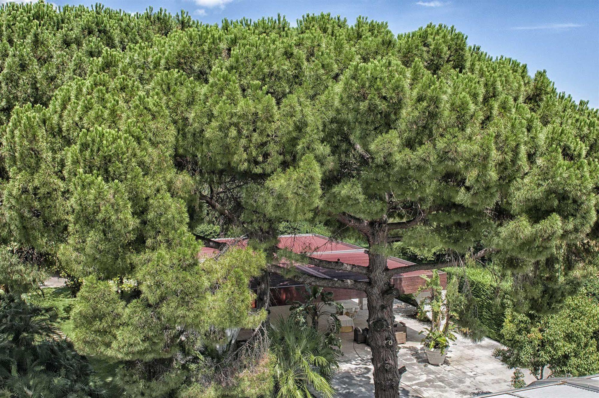 Garden Hotel Мольфетта Екстер'єр фото